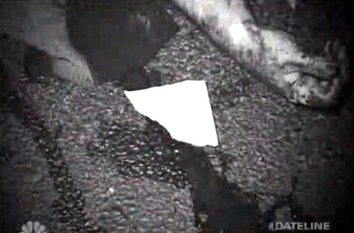 Image of torn paper fragment at crime scene next to victim’s body. Reportedly this paper fragment had a phone number on it. NBC Dateline photo.